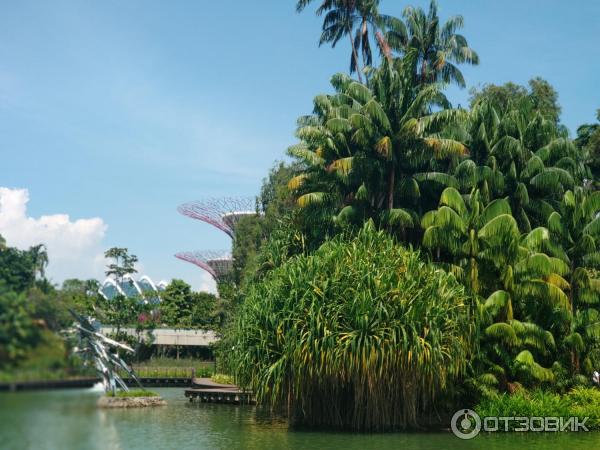 Сингапур фото туристов gardens by the bay озеро Стрекозы Dragonfly lake