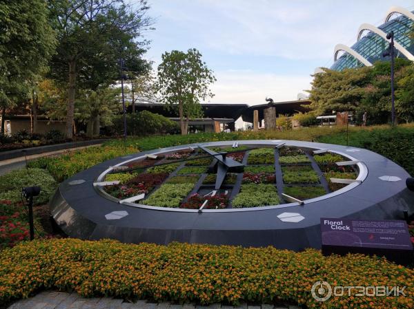 Сингапур сады у залива фото Цветочные часы Floral Clock