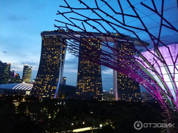 отель Marina bay sands resort фото