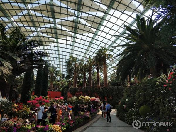 Flower Dome в Сингапуре фото