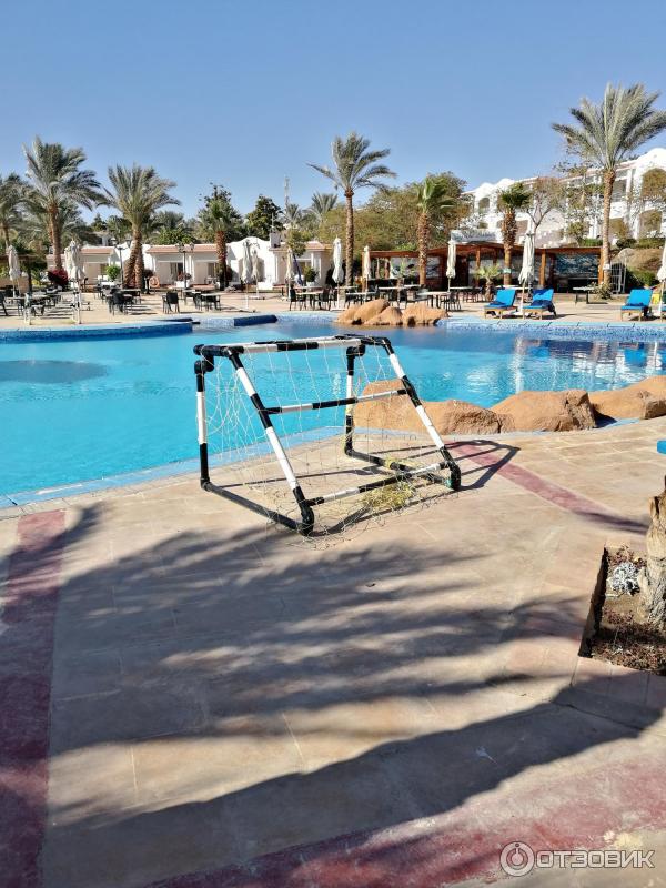 Отель Hilton Sharm Dreams Resort 5* (Египет, Шарм-эль-Шейх) фото