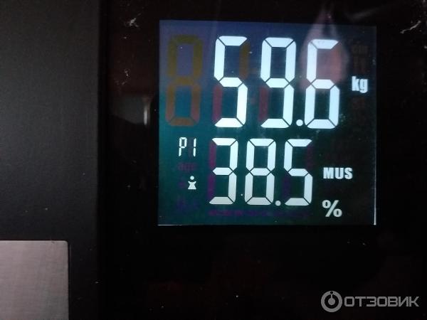 Весы напольные Dexp SC-70D фото