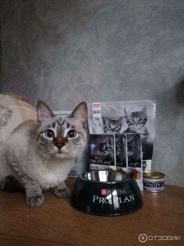 Корм для котят Purina Pro Plan фото