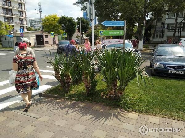 Санаторий Русь (Россия, Анапа) фото