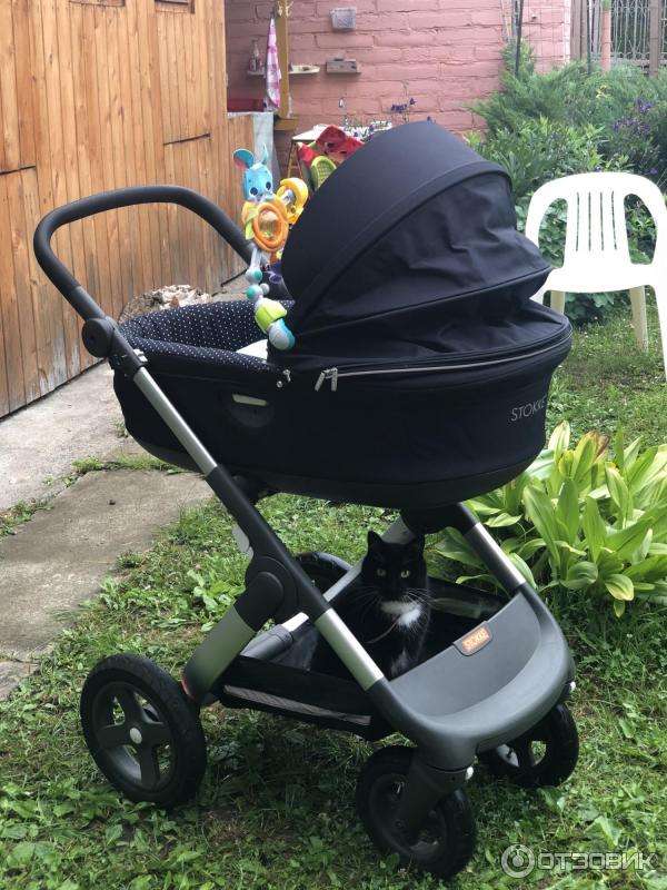 Stokke Trailz 2 В 1 Купить