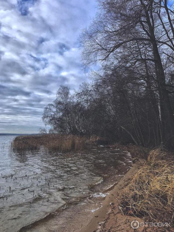 Учинское водохранилище пушкино. Запретка Учинское водохранилище. Суходольский залив Учинское водохранилище.