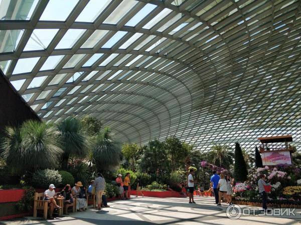 оранжерея в Сингапуре фото Flower Dome