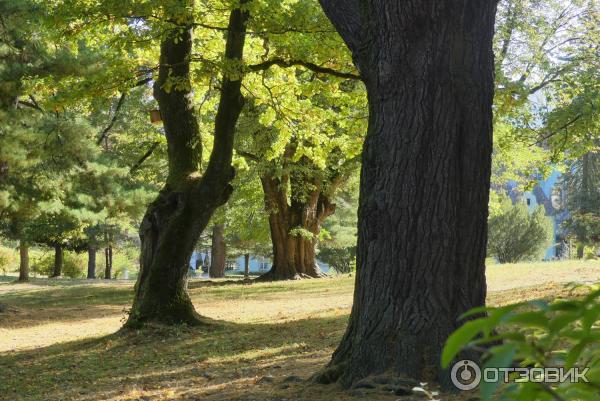 Замок графа Шенборна (Украина, Закарпатская обл.) фото