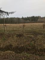 Парк семейного отдыха и экотуризма Зубровник (Россия, Токсово) фото