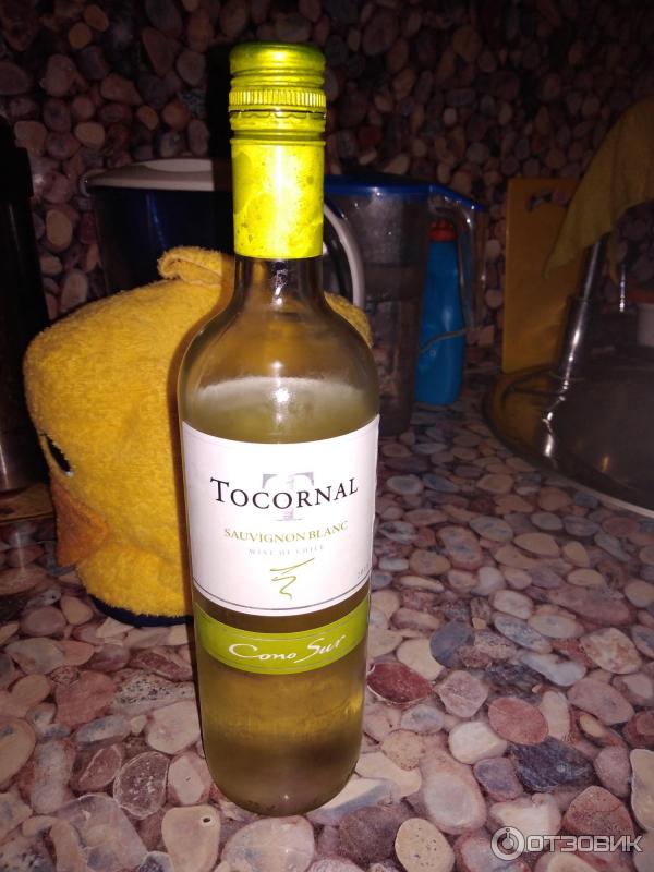 Вино Cono Sur Tocornal Sauvignon Blanc столовое полусухое белое фото