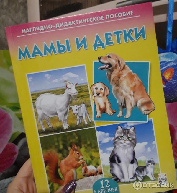 Книга Наглядно-дидактическое пособие - издательство Рыжий кот фото