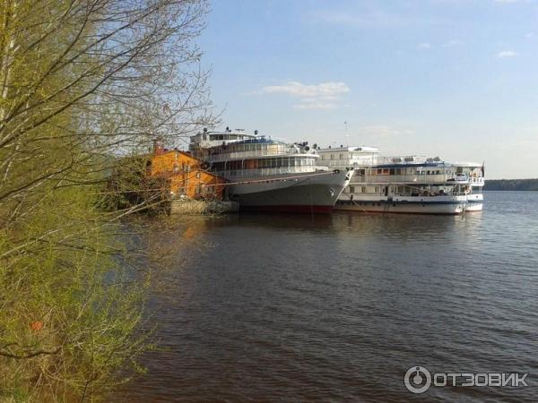 Зона отдыха Хвойный бор (Россия, Московская область) фото