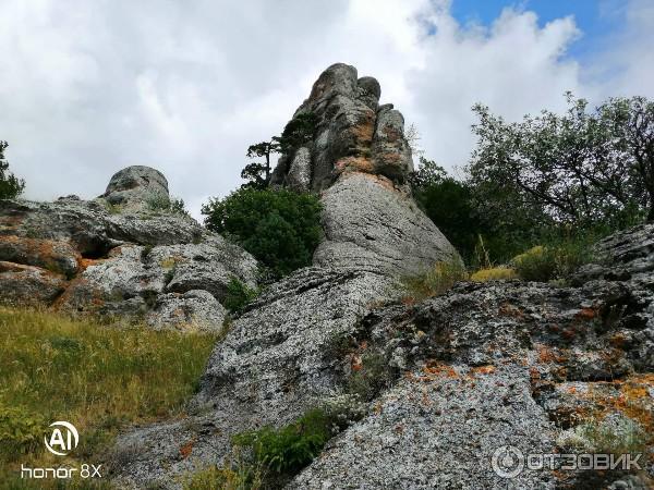 Джип-тур на гору Демерджи (Крым, Алушта) фото