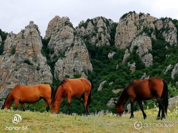 Джип-тур на гору Демерджи (Крым, Алушта) фото