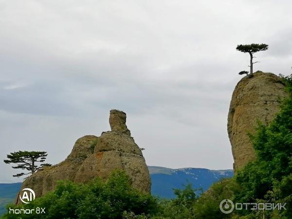 Джип-тур на гору Демерджи (Крым, Алушта) фото