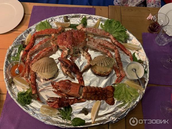 Тарелка с морскими гадами)
