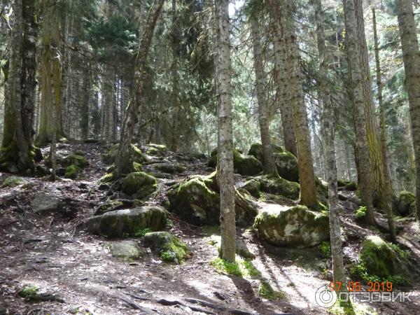 Экскурсия на Домбай (Россия, Карачаево-Черкесия) фото