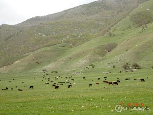 Экскурсия на Домбай (Россия, Карачаево-Черкесия) фото