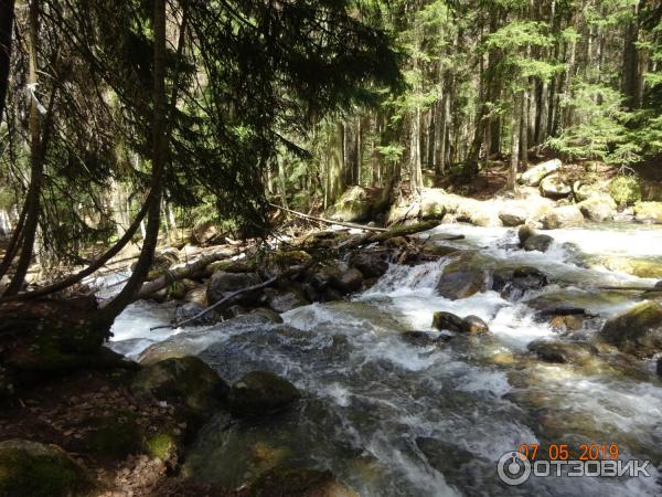 Экскурсия на Домбай (Россия, Карачаево-Черкесия) фото