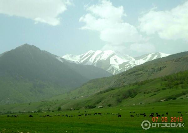 Экскурсия на Домбай (Россия, Карачаево-Черкесия) фото