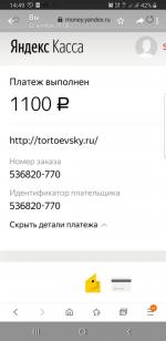 Tortoevsky.ru - торты на заказ "Гений Тортоевский" фото