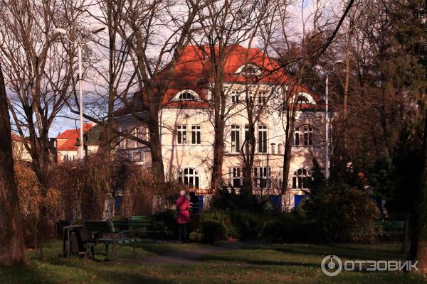 Район амалиенау в калининграде фото