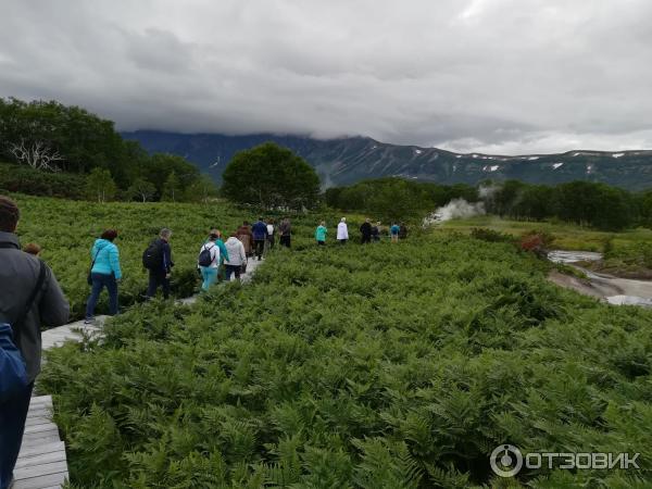 Долина гейзеров (Россия, Камчатский край) фото