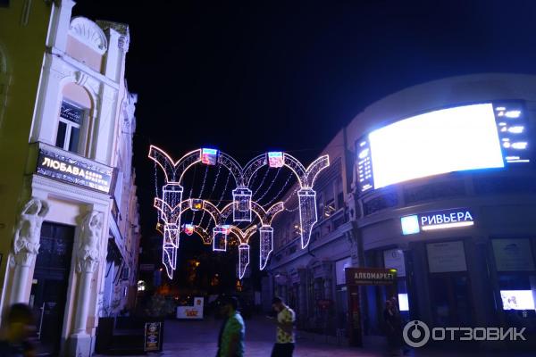 Отдых в Ялте (Крым) фото