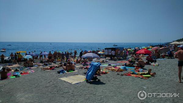 Отдых в Ялте (Крым) фото