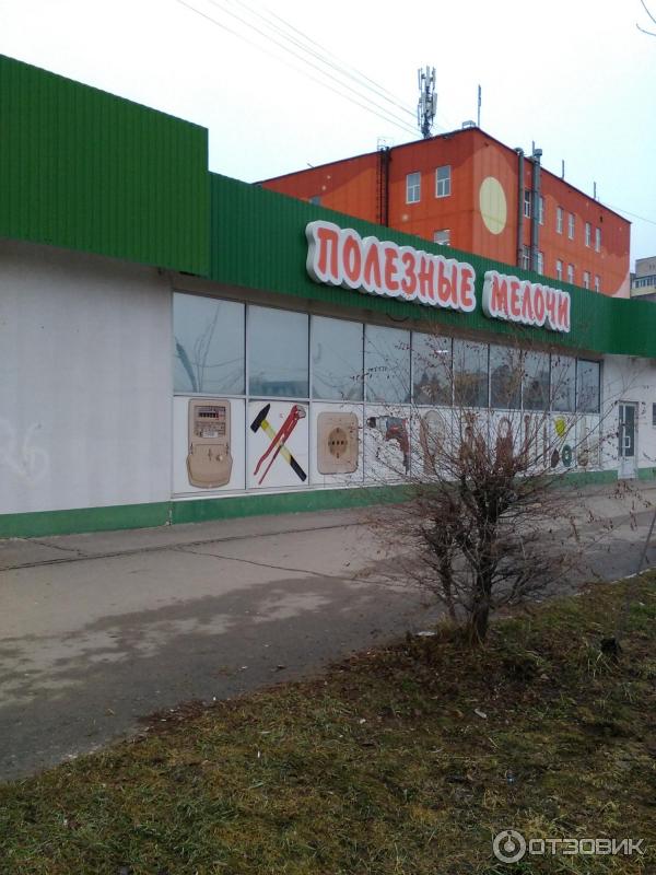 Квинтел волжский