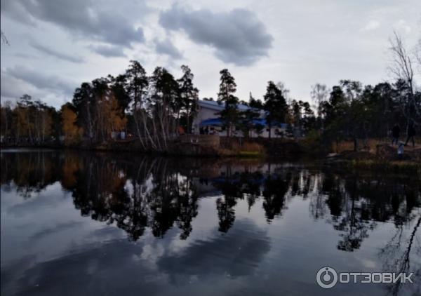 Здесь даже водится рыба