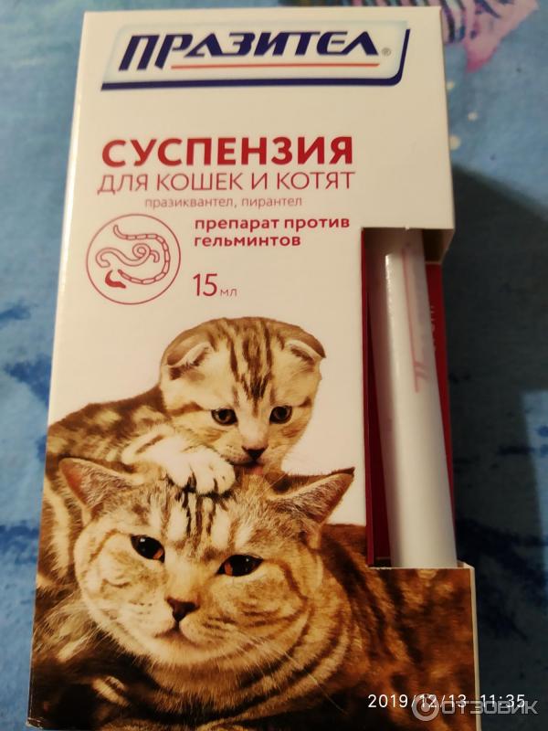 Празител для кошек суспензия