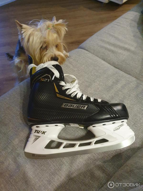 Хоккейные коньки Bauer Supreme S27 фото
