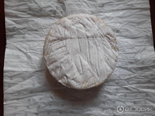 Мягкий сыр Kaserei Champignon Brie Camembert Soft Ripened Cheese фото