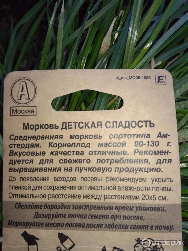 245787_70840572