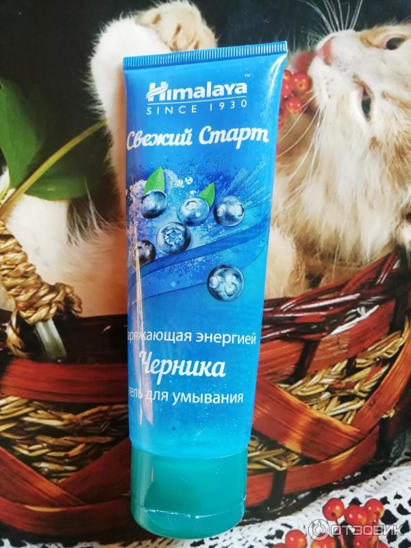 Гель-скраб для умывания Himalaya Herbal Черника фото