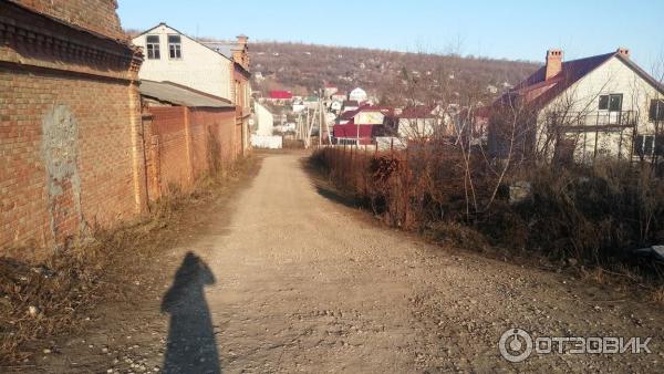 П рейник. Усадьба рейнеке. Что такое конезавод в рейнеке. Усадьба рейник. П рейник.