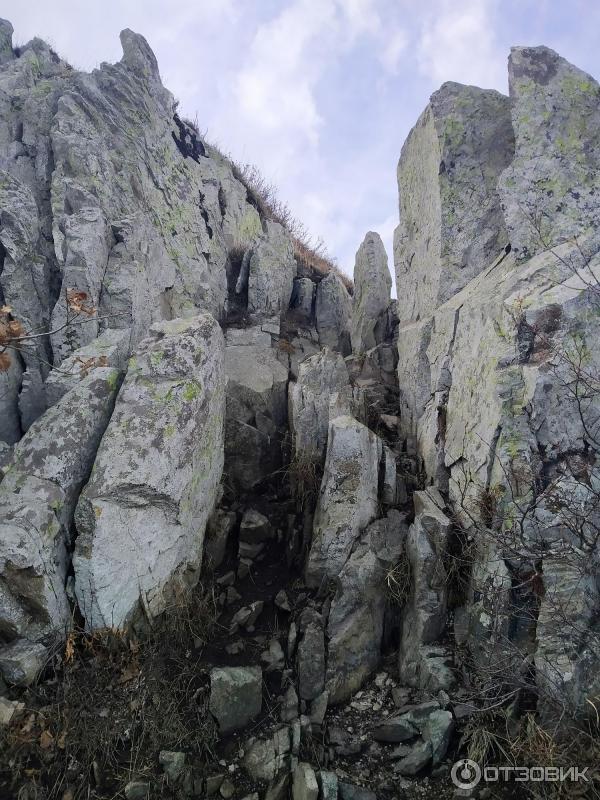 Подъём на гору Бештау (Россия, Лермонтов) фото