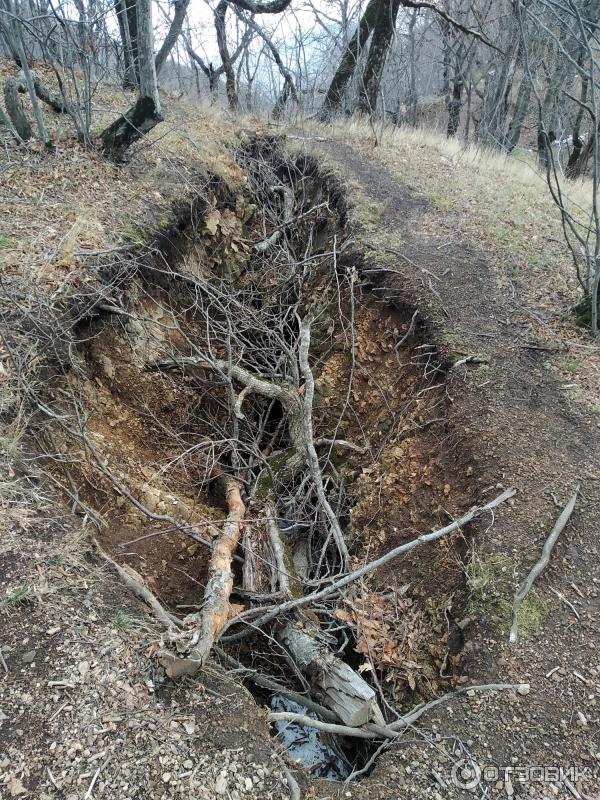 Подъём на гору Бештау (Россия, Лермонтов) фото