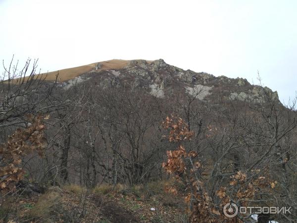 Подъём на гору Бештау (Россия, Лермонтов) фото