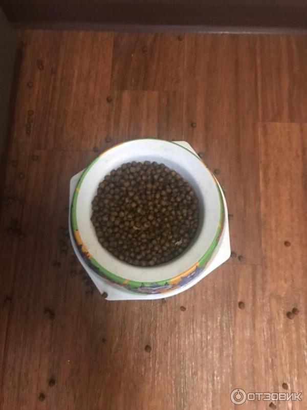 Корм для котят Grandorf kitten фото