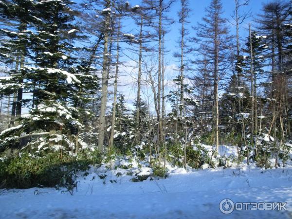 Экскурсия по городу Невельск (Россия, Сахалин) фото