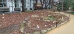 Ботанический сад МГУ (Аптекарский огород) (Россия, Москва) фото