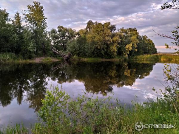 Отдых на озере Селигер (Россия, Тверская область) фото