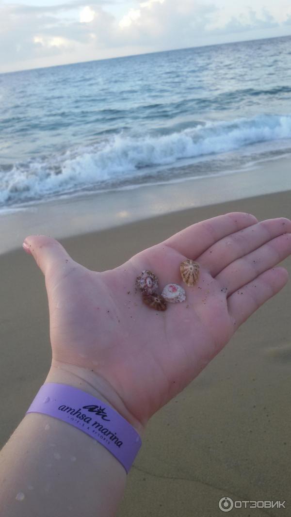 Отель Casa Marina Beach & Reef (Доминикана, Сосуа) фото