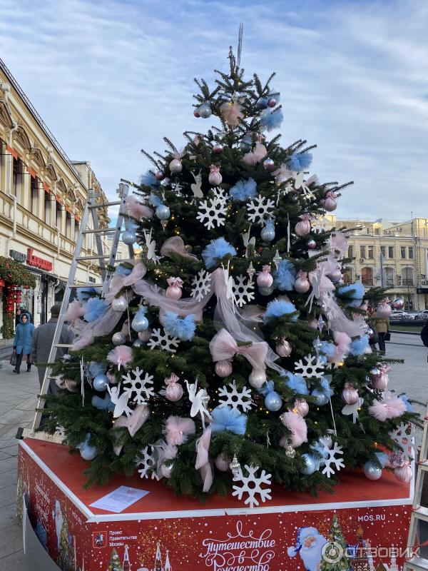 Выставка дизайнерских новогодних елок (Россия, Москва) фото