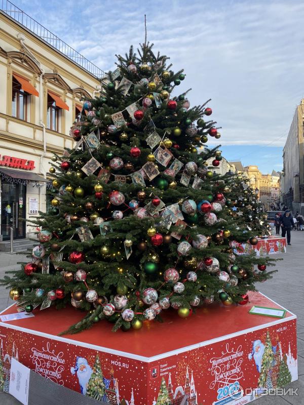 Выставка дизайнерских новогодних елок (Россия, Москва) фото