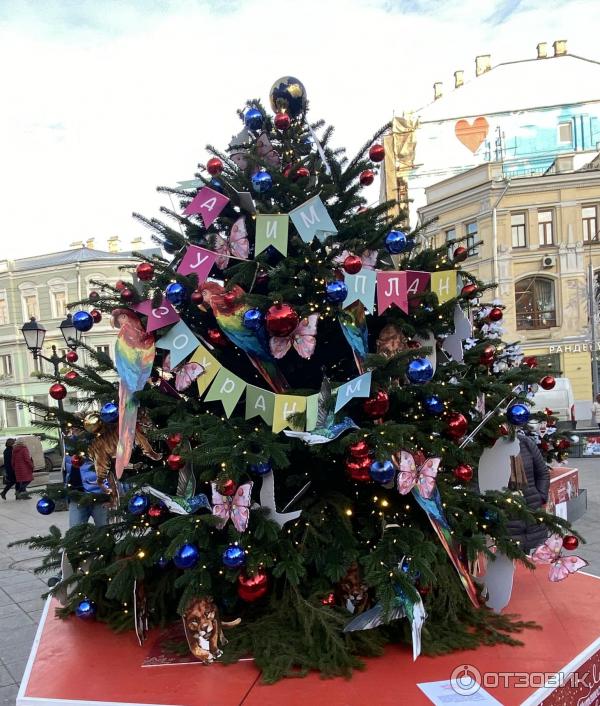 Выставка дизайнерских новогодних елок (Россия, Москва) фото