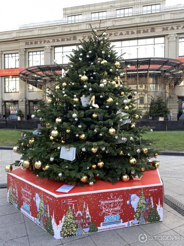 Выставка дизайнерских новогодних елок (Россия, Москва) фото