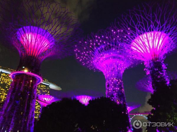 сады залива Сингапур фото Gardens by the Bay